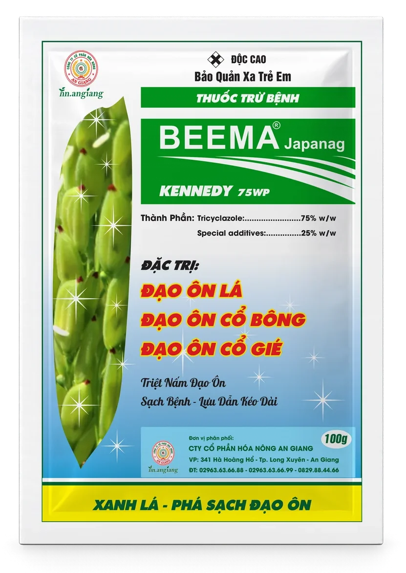 Beema Beema