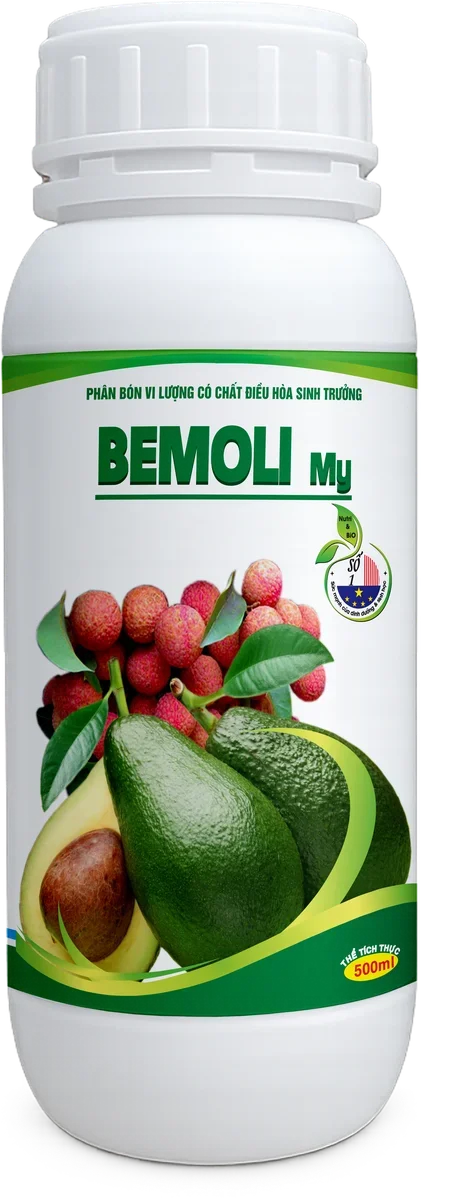 Bemoli My Bemoli My