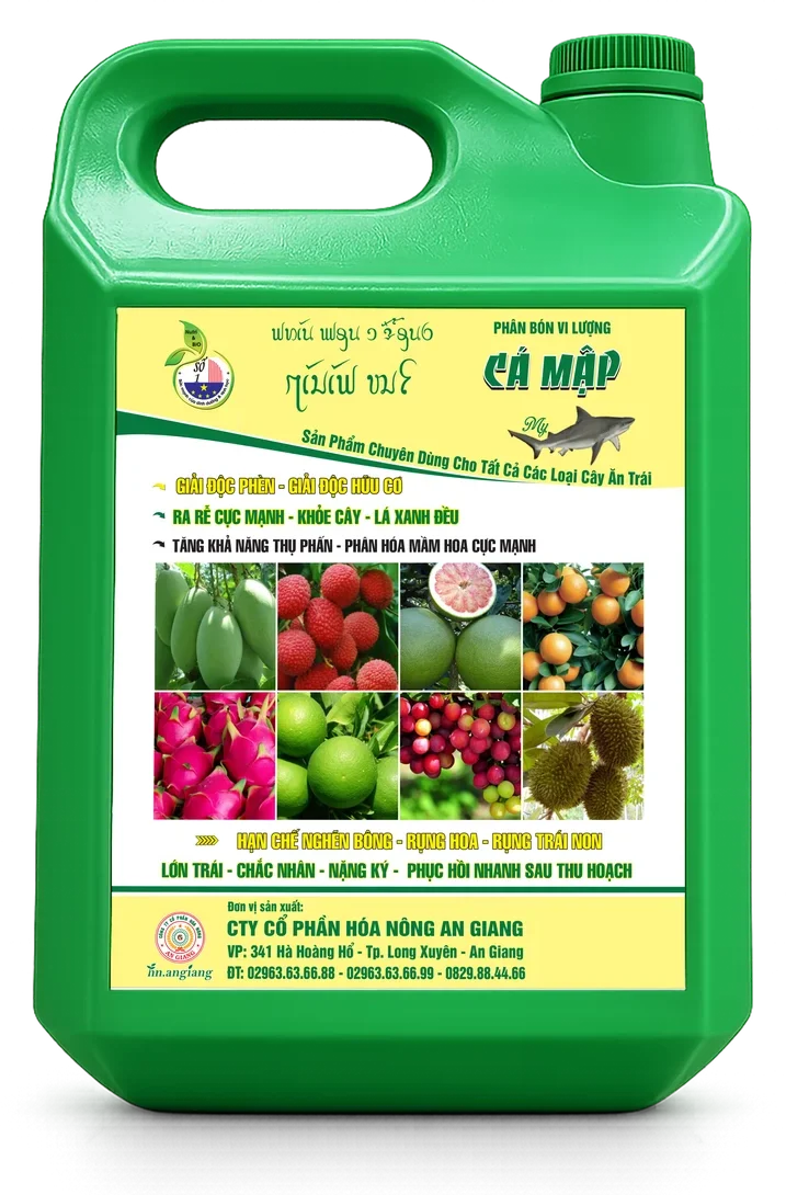 Cá Mập My Cá Mập My