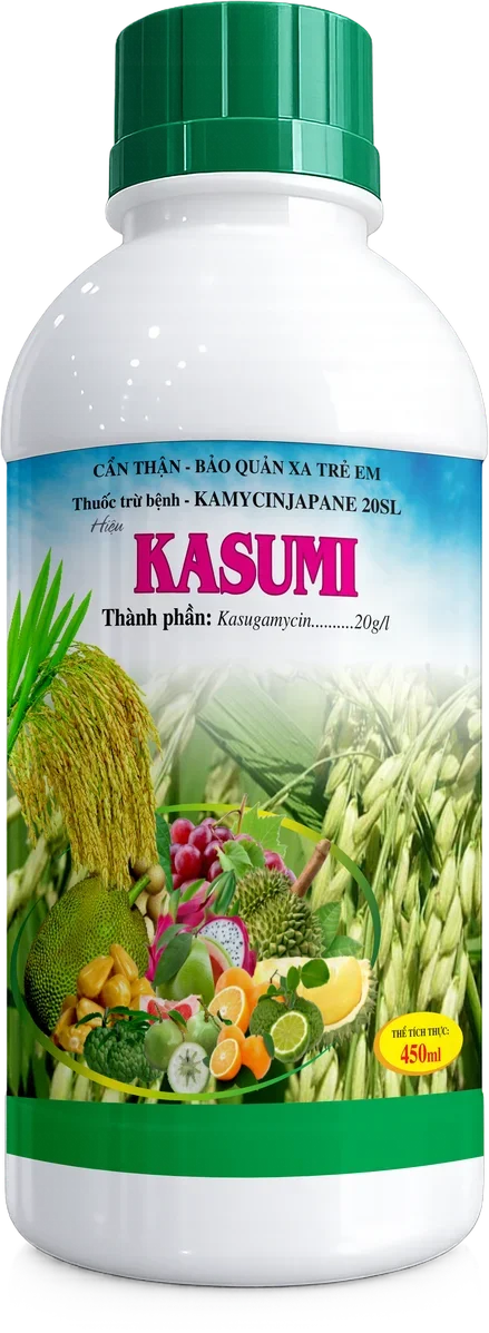 Kasumi – Kamycinjapane 20SL Kasumi – Kamycinjapane 20SL