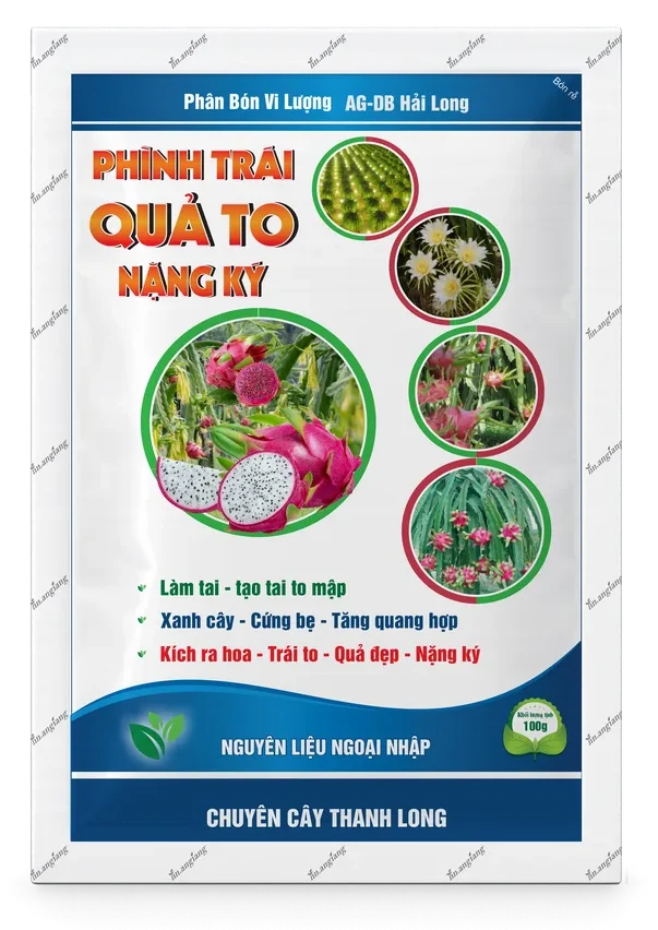 AG-DB Hải Long Phình Trái – Quả To – Nặng Ký AG-DB Hải Long Phình Trái – Quả To – Nặng Ký