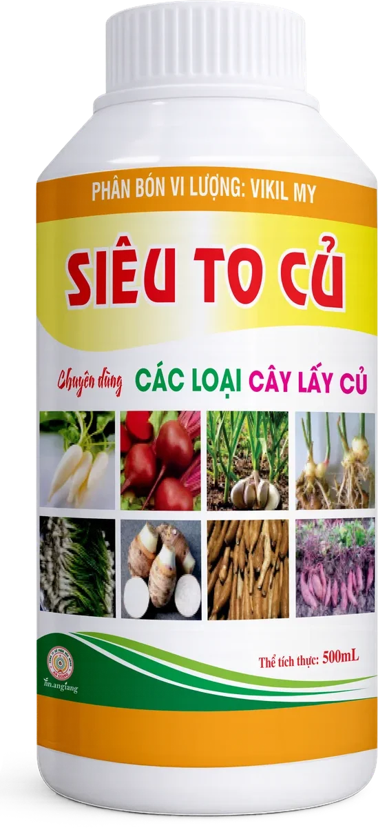 Vikil My Siêu To Củ Vikil My Siêu To Củ