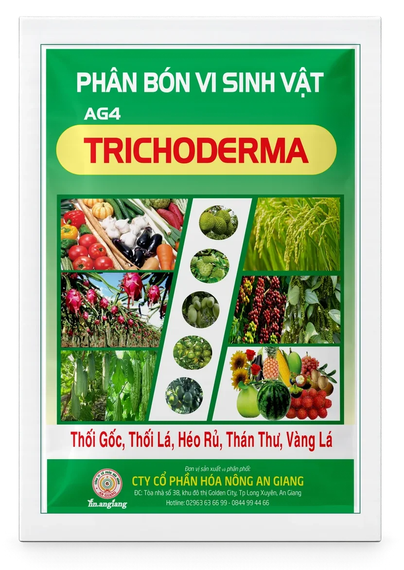 AG4 Trichoderma AG4 Trichoderma