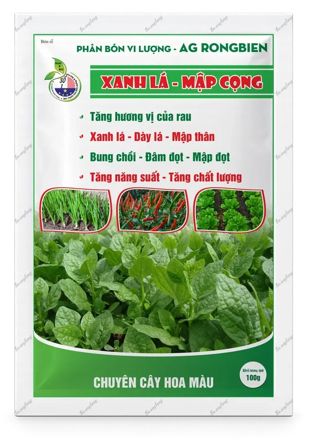 AG Rong Biển Xanh Lá – Mập Cọng AG Rong Biển Xanh Lá – Mập Cọng