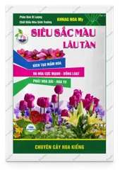 Khnag Noa My Siêu Sắc Màu – Lâu Tàn
